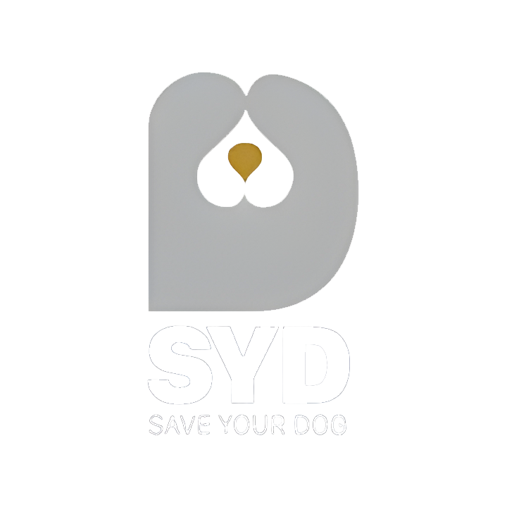 Save your Dog Training School Lebanon