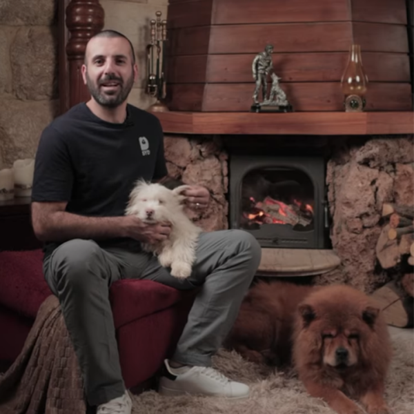 Save Your Dog Training School offers professional dog training by experienced dog trainers in Lebanon, including obedience, advanced training, and dog boarding at home or school.