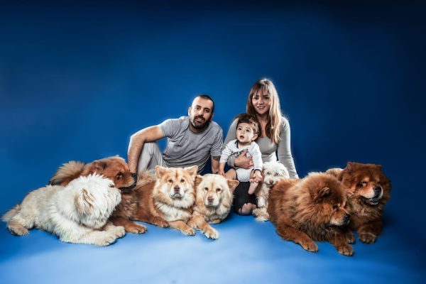 Dog trainer in Lebanon providing in-home dog training session for obedience and behavior