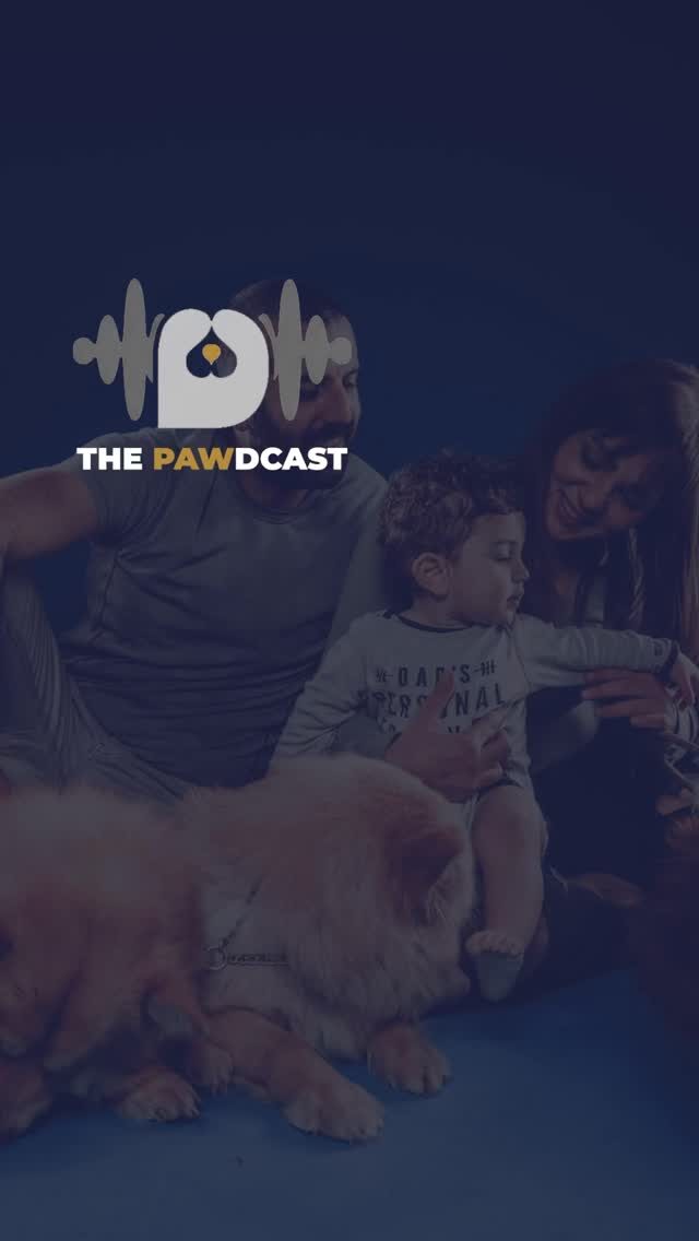 Instagram post from saveyourdog.lb. This post is in position 5.