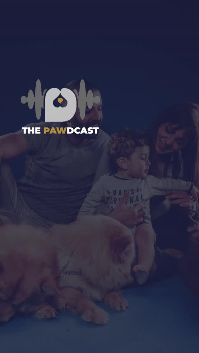 Instagram post from saveyourdog.lb. This post is in position 1.